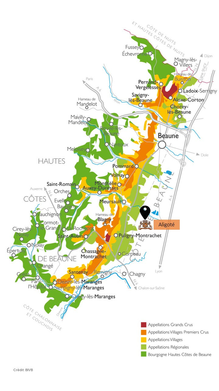 Vino Chateau de Laborde Aligoté cuvée Acacia 75cl