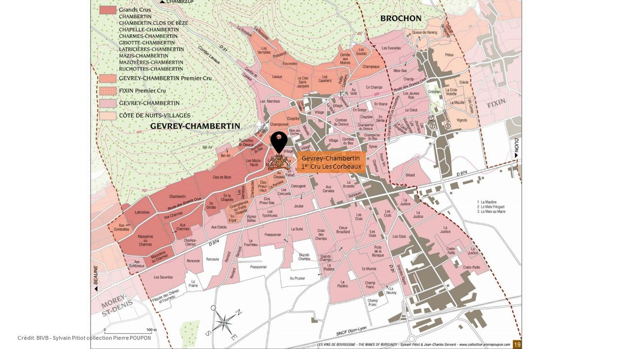 Vino Chateau de Laborde Gevrey Chambertin 1er Cru «Les Corbeaux»