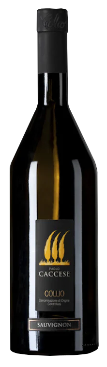 Vino Caccese Sauvignon 2023 75 cl.