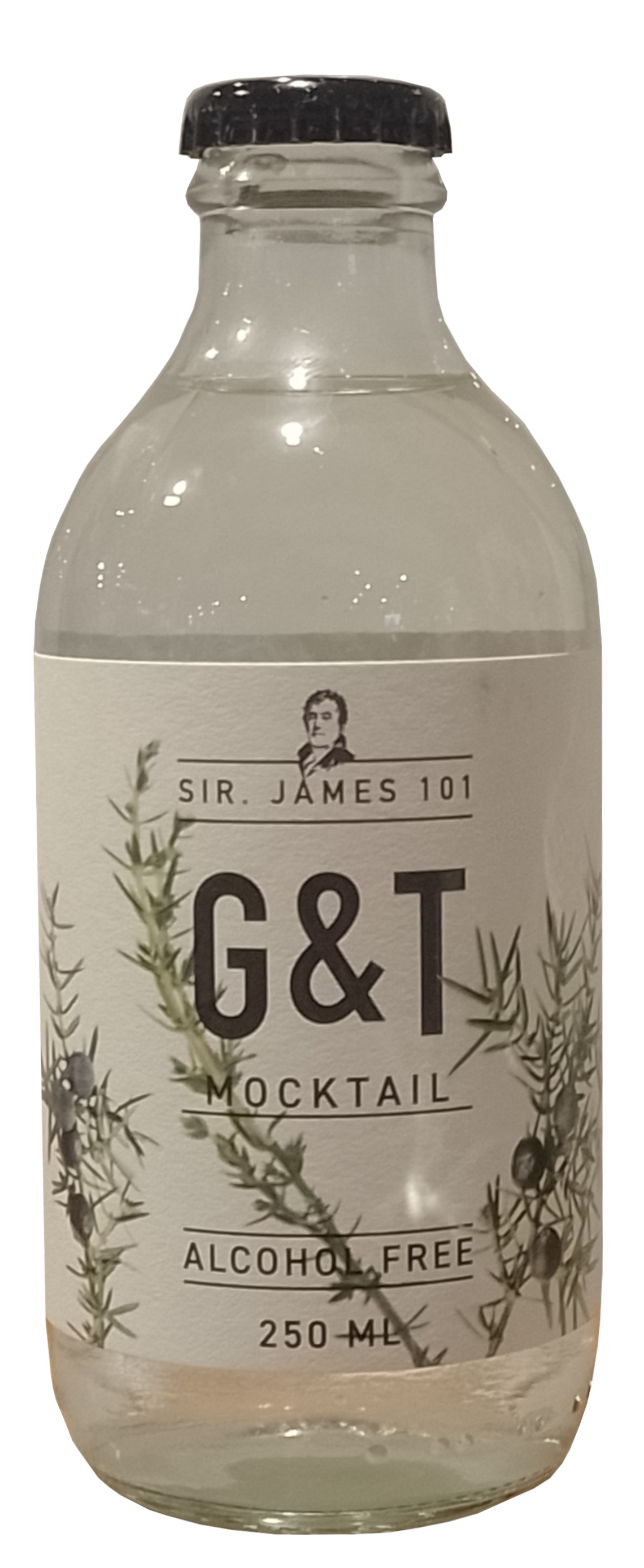 G&T Sir James 101 Alcol Free 25cl