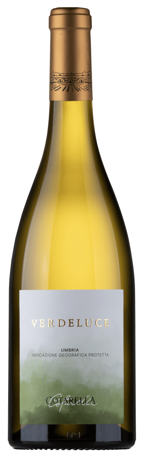 Vino Cotarella "Verdeluce" 2023 75cl