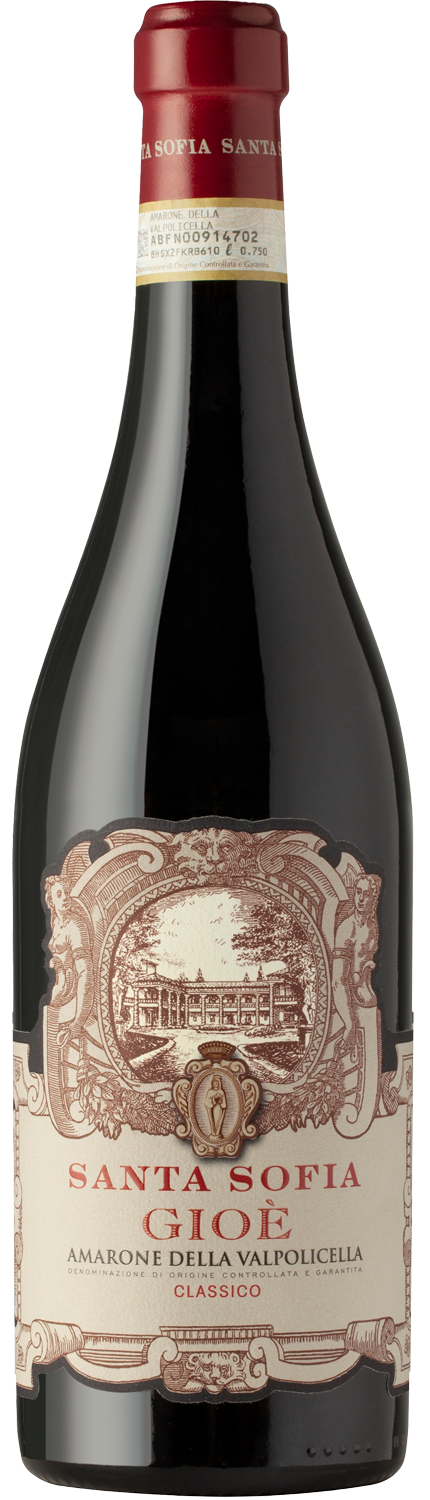 Vino Santa Sofia Amarone della Valpolicella Gioè 2016 75cl