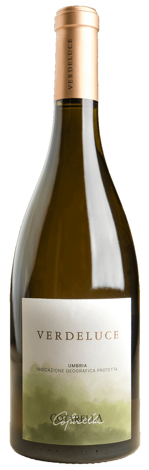 Vino Cotarella "Verdeluce" 2024 75cl