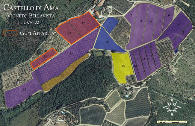 Vino Castello di Ama Merlot L'Apparita 2007 75cl
