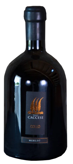 Vino Caccese Merlot Riserva 2020 150 cl.