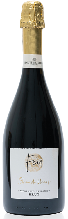 Spumante Tenute Orestiadi "Feu" Blanc de Blancs 75cl (Metodo Charmat)