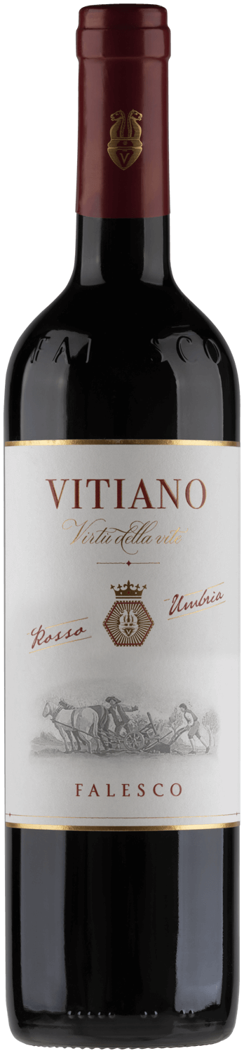 Vino Falesco Vitiano rosso 2022 75cl