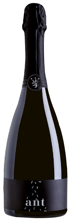 Spumante Antonutti Metodo Classico Brut Ant 75cl