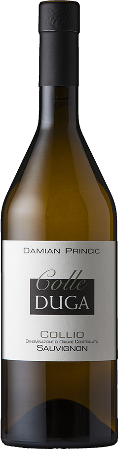 Vino Colle Duga Sauvignon 2024 75cl