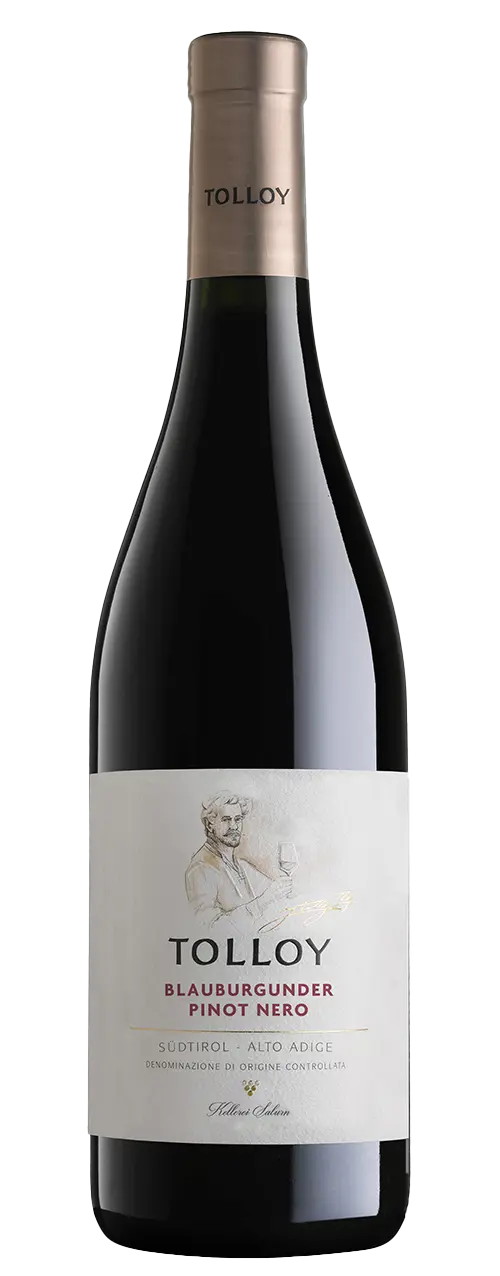 Vino Tolloy Pinot Nero 2022 75cl